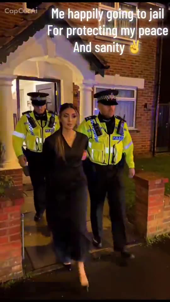 AI Arrest Trend: Make the “Getting Arrested Again” Video With One Photo Tutorial — RemixMeme Guide