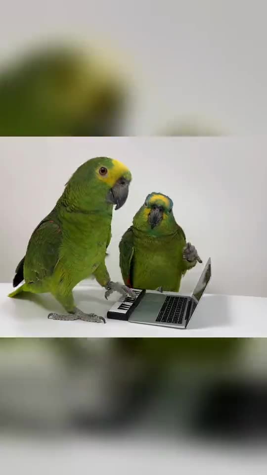 Alors On Danse AI: Put You and a Friend in the Studio Sketch Tutorial — RemixMeme Guide