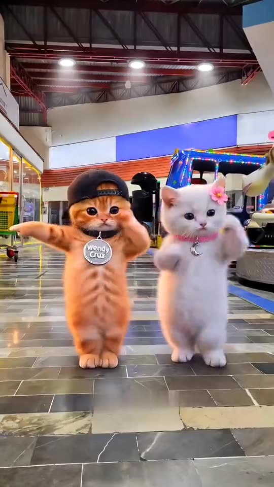 Create a BbY WOW Dance AI Trend: Garage Dance, Quince Meme or Your Pet With Your Photo