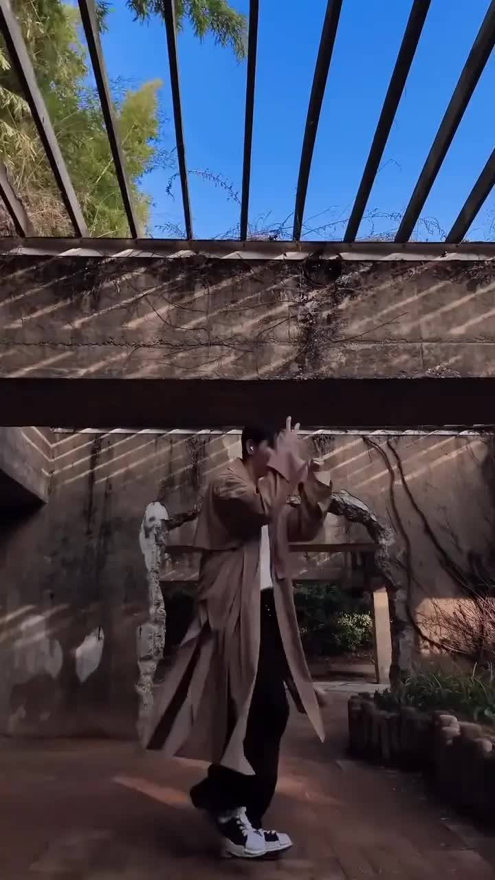 No Guidance Dance AI · 1 AI meme video preview