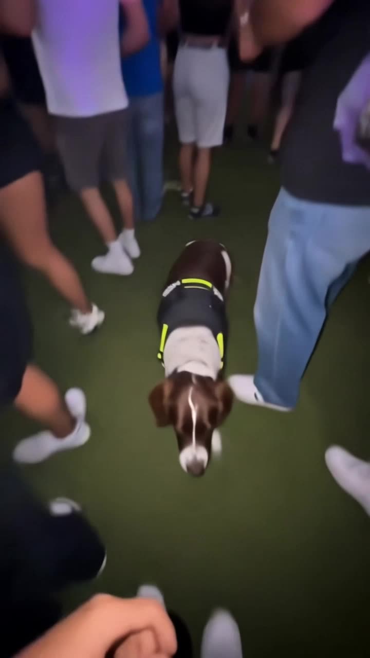 Turn Your Photo Into a Sniffer Dog Meme AI: Put Yourself in the Viral “Bro Is So Cooked” Clip