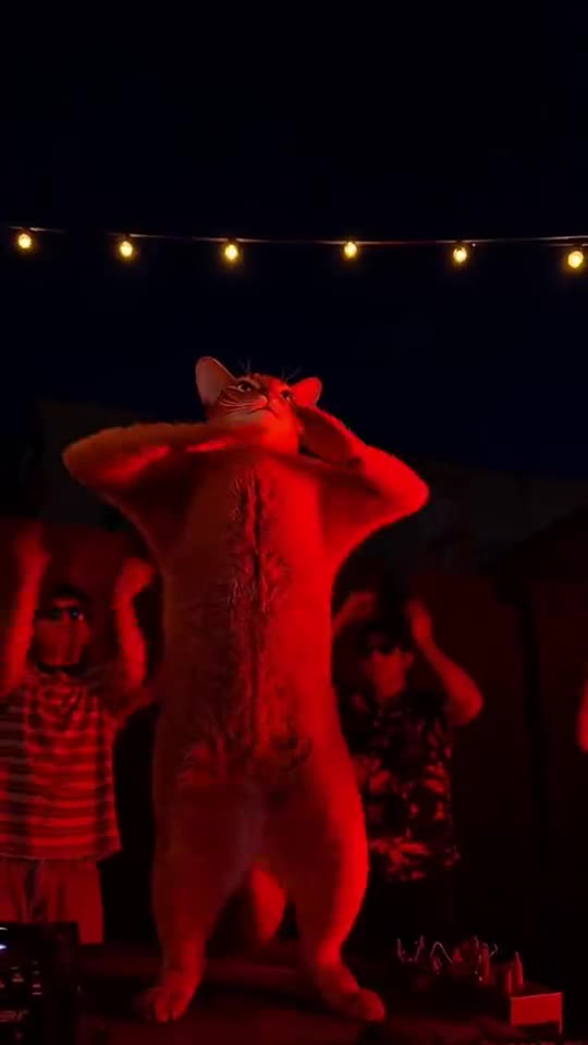 Tecktonik Dance AI: Your Turn on the String-Light Stage Tutorial — RemixMeme Guide