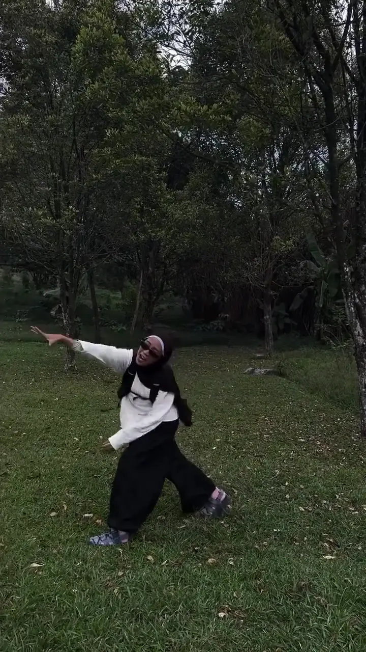 Twilight Baseball Scene AI Video: Make This Meme Video Online